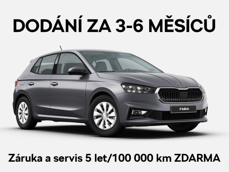 Škoda Fabia Selection